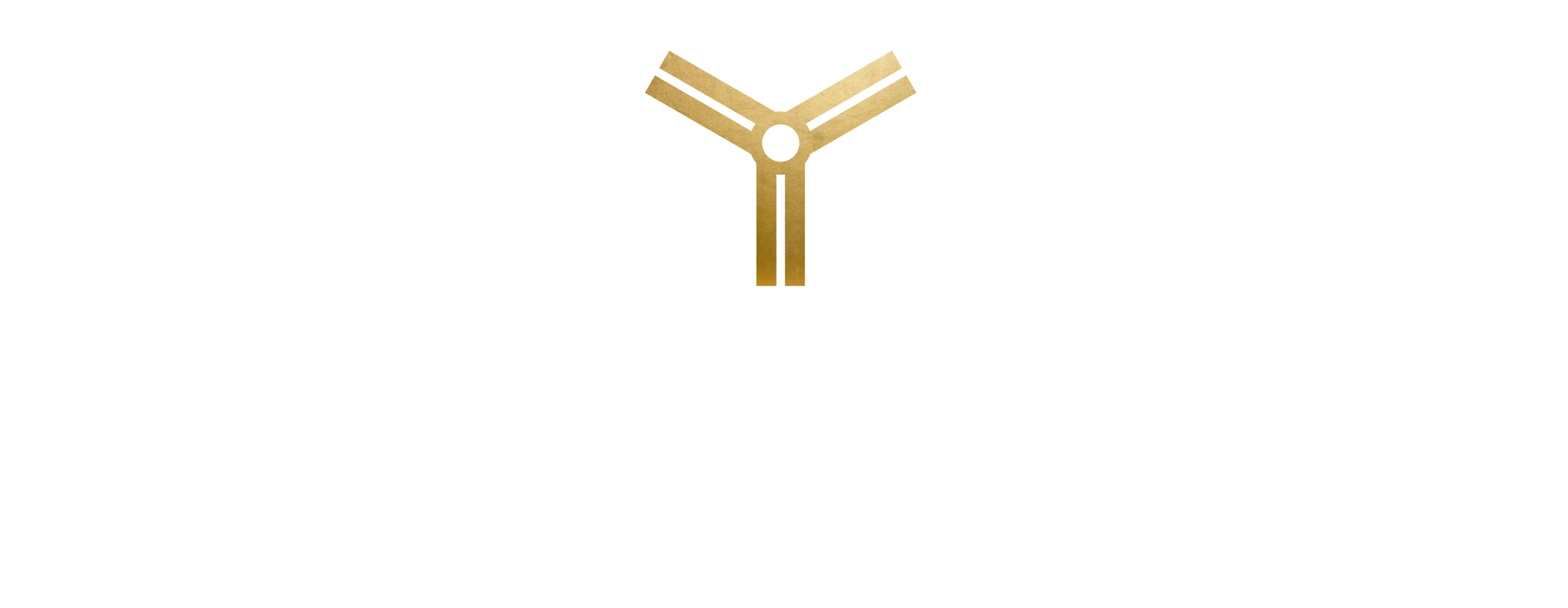 alyargroup